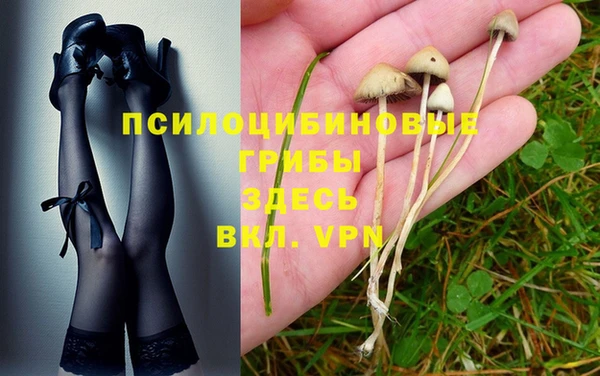 эйфоретик Аркадак