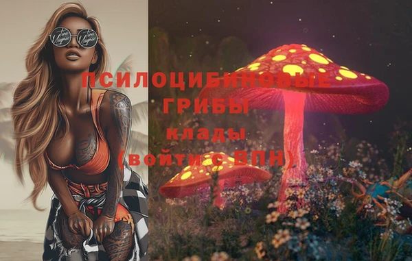 эйфоретик Аркадак